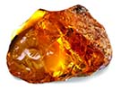 Amber Image